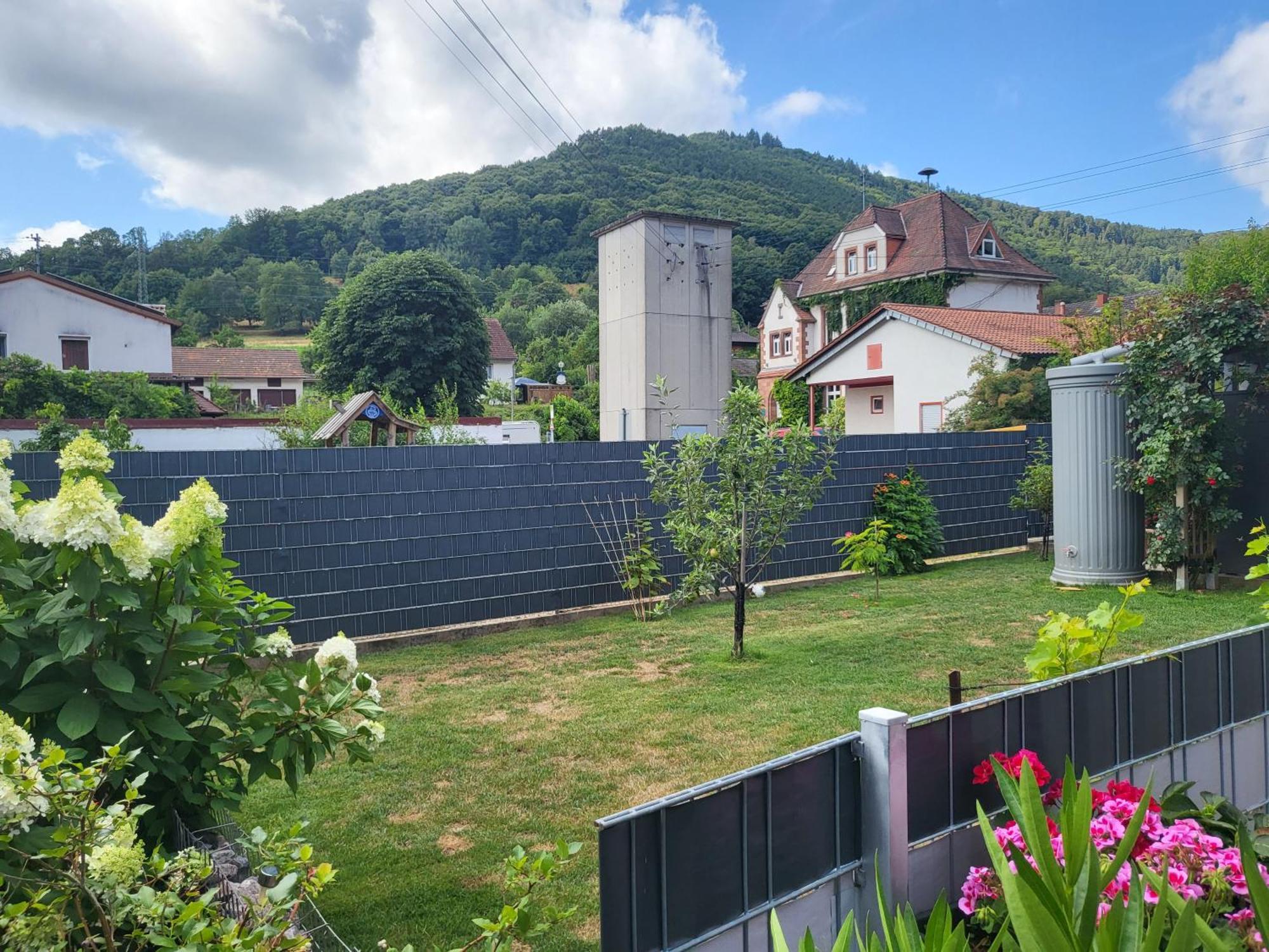 Ferienwohnung Schardt Annweiler am Trifels Exterior foto